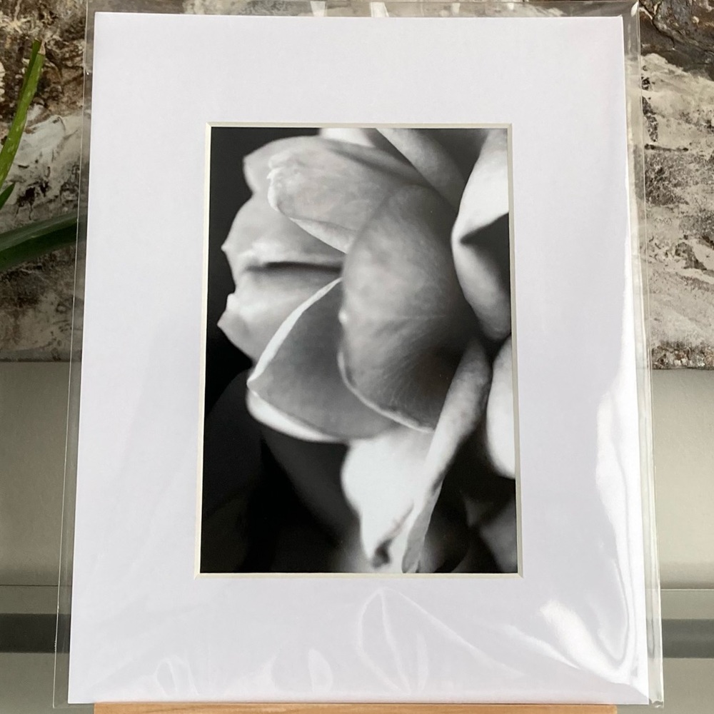 “WITHOUT YOU” ~ ORIGINAL ART by ~ @lisamichellebeckerphotography - Picture 12 of 14